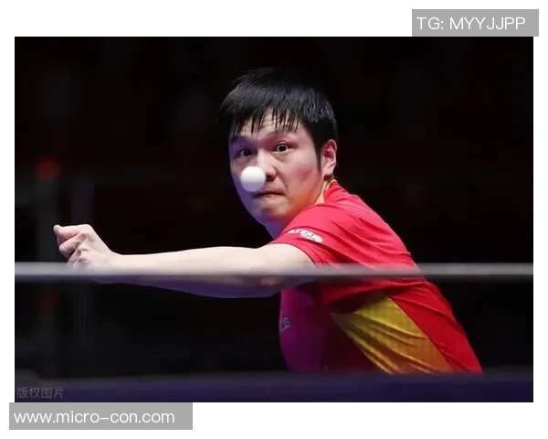 上海乒乓球队反击之路:挑战与机遇并存的精彩赛季分析 上海乒乓球队反击之路:挑战与机遇并存的精彩赛季分析