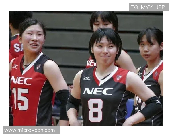 广州排球队的战术演变与球员转换深度解析