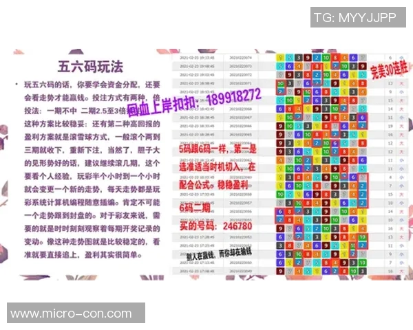 广州羽毛球队防守策略深度解析与实战技巧分享 广州羽毛球队防守策略深度解析与实战技巧分享