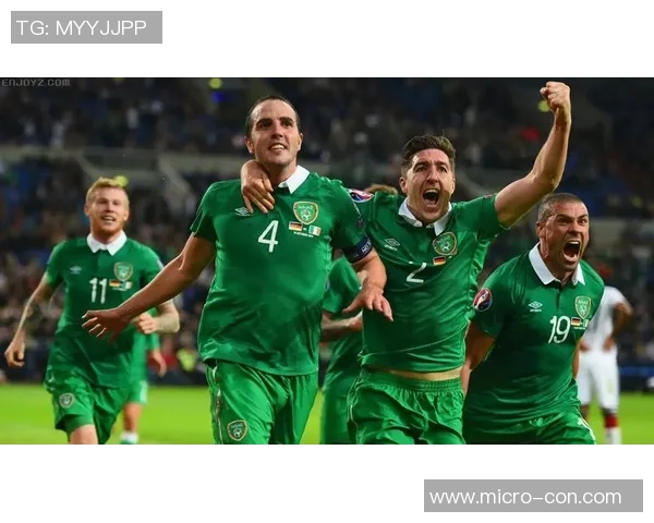 爱尔兰足球明星的辉煌历程与成就探秘