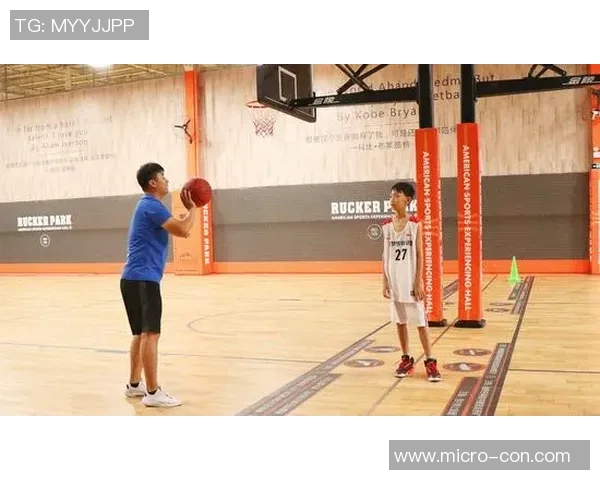 篮球专题：聚焦上海篮球队的团队协作