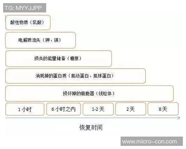 足球明星日常饮食揭秘高清图片展现他们的健康伙食与营养搭配 足球明星日常饮食揭秘高清图片展现他们的健康伙食与营养搭配