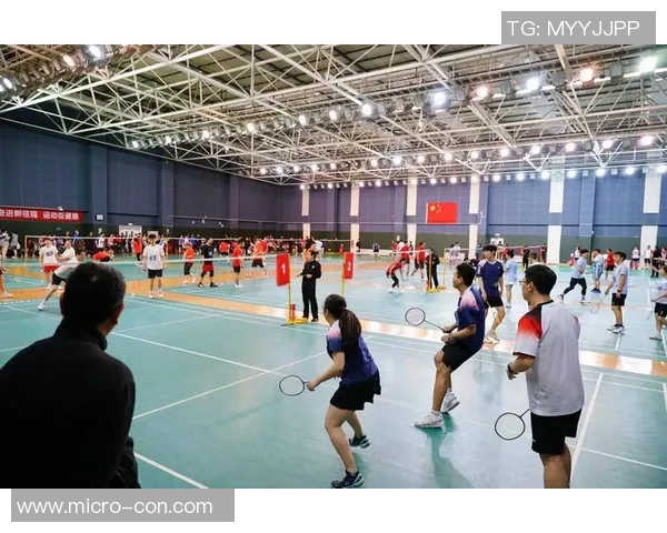 热议羽毛球:北京羽毛球队的实力变革 热议羽毛球:北京羽毛球队的实力变革