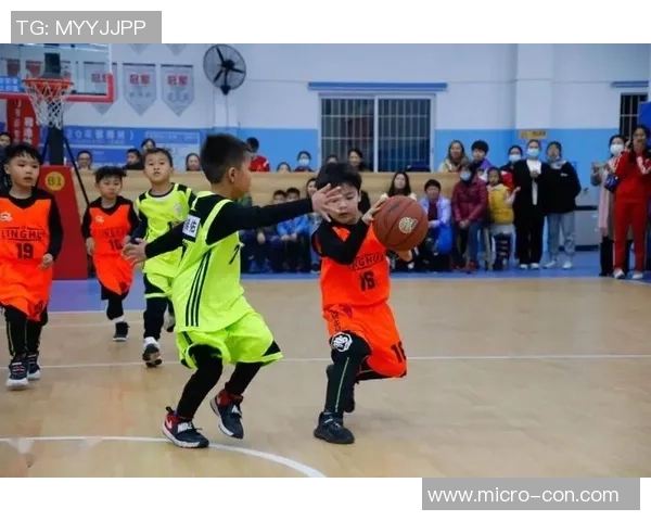 刘敏独家：分享篮球心得