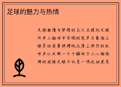足球的魅力与热情