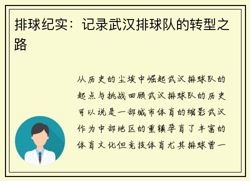 排球纪实：记录武汉排球队的转型之路