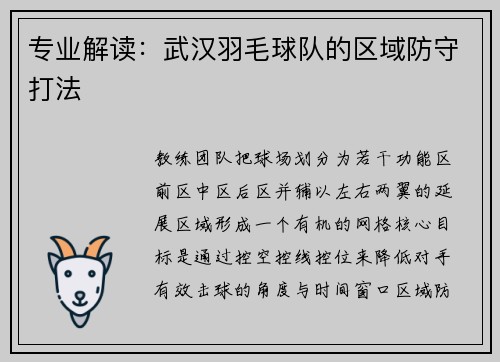 专业解读：武汉羽毛球队的区域防守打法