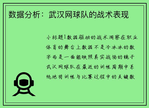 数据分析：武汉网球队的战术表现